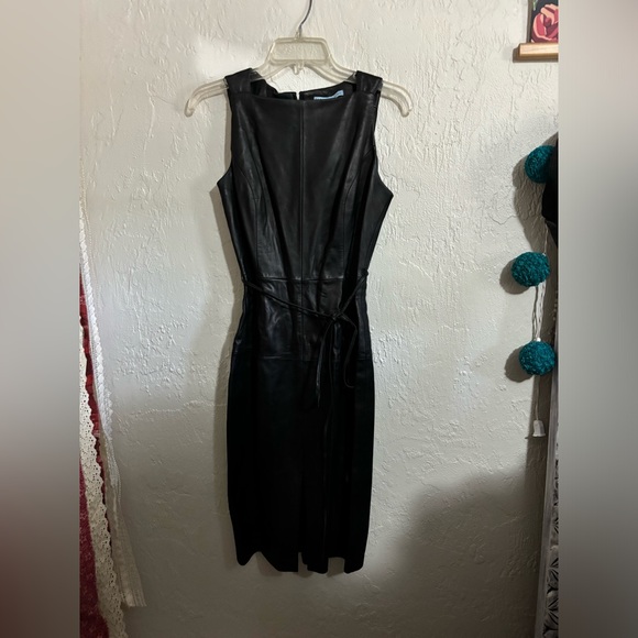 Antonio Melani Luxury Leather Collection KoKo Leather Dress Size 6 - Picture 10 of 10